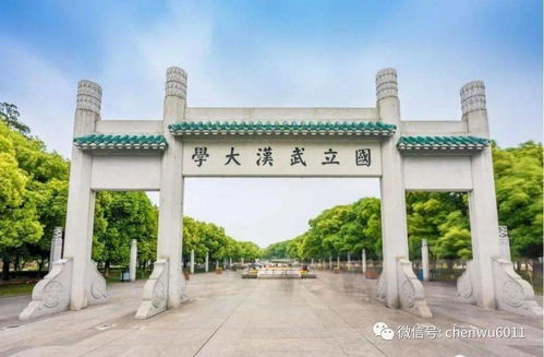 武漢大學(xué)就業(yè)報(bào)告 選擇考公務(wù)員 選調(diào)生等人數(shù)大幅增加