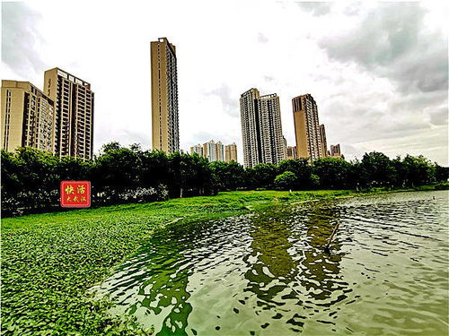 武漢墨水湖公園是市區內最親民的大湖公園 20圖