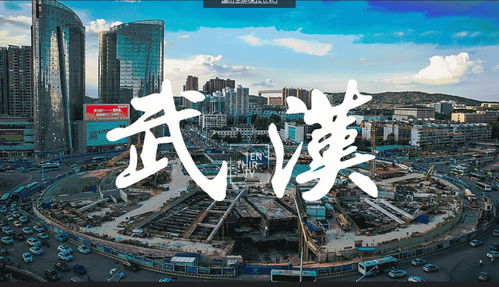 武漢最貴的二個小區,第一名均價7.5萬,竟靠近市政協