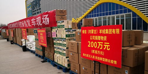 巴彥淖爾市捐贈300萬元 天賦河套 優質農產品馳援武漢
